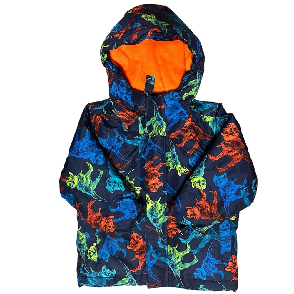 SET snowsuit Winter jacket and snow pants overalls dinosaur